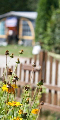 zobacz camping - zdjęcie 10