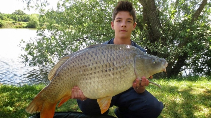 zobacz camping - zdjęcie 18