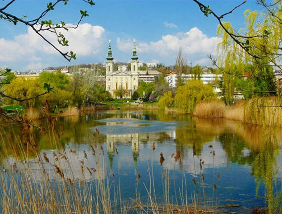 zobacz camping - zdjęcie 11