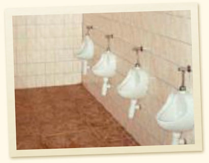 zobacz camping - zdjęcie 5