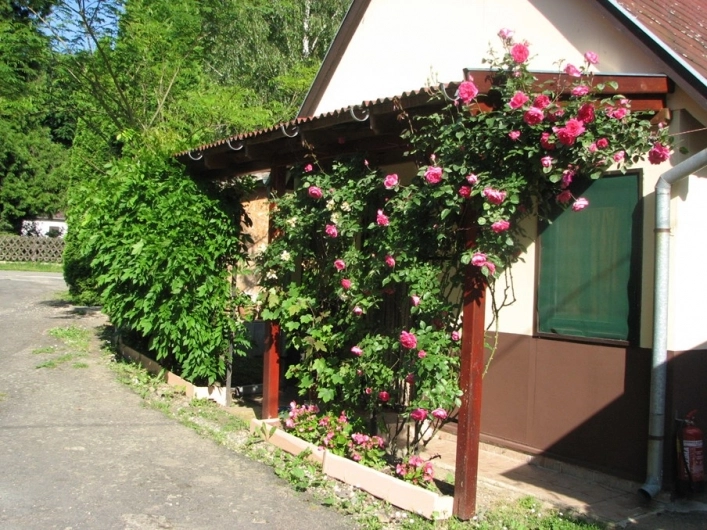 zobacz camping - zdjęcie 8
