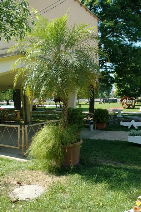 zobacz camping - zdjęcie 14