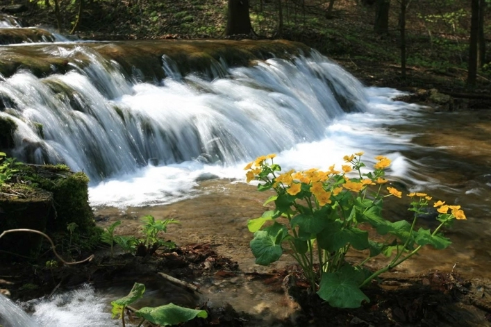zobacz camping - zdjęcie 17