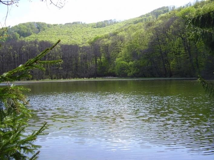 zobacz camping - zdjęcie 1