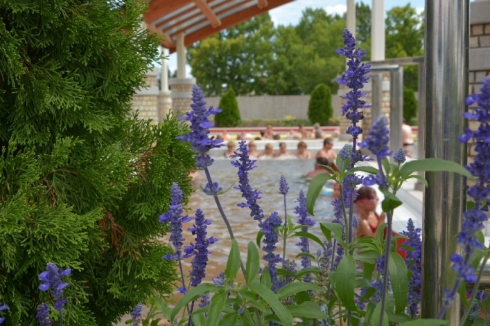 zobacz camping - zdjęcie 30