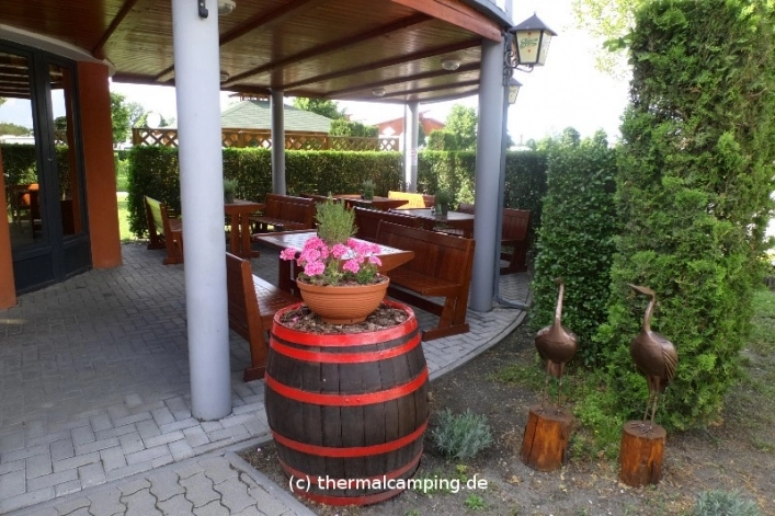 zobacz camping - zdjęcie 16