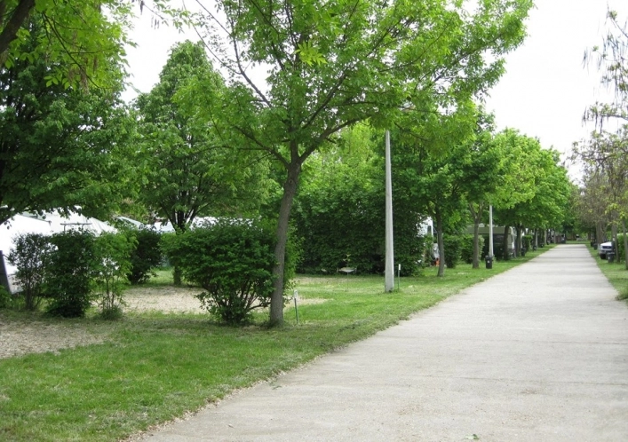 zobacz camping - zdjęcie 11