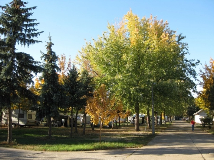 zobacz camping - zdjęcie 7