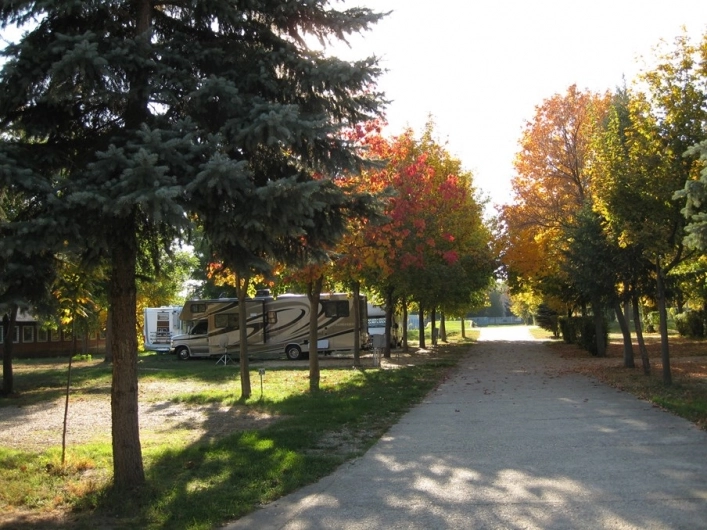 zobacz camping - zdjęcie 5