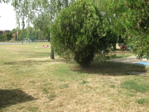 zobacz camping - zdjęcie 8