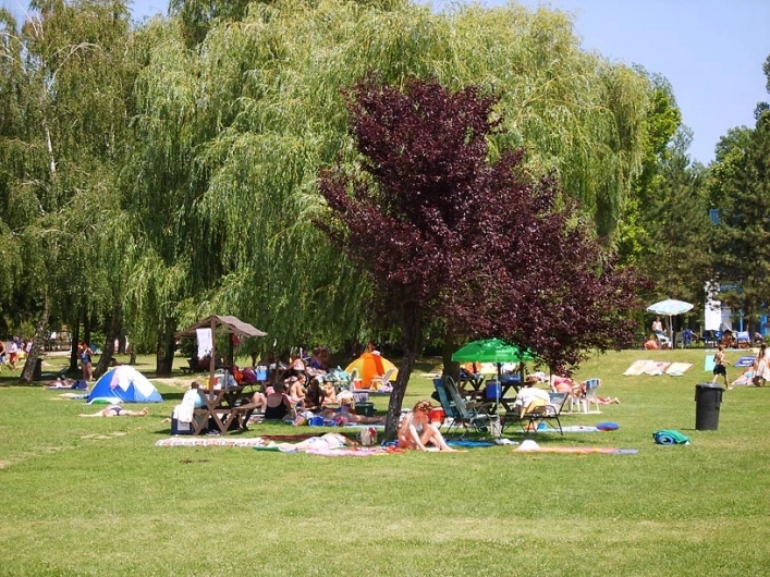 Thermal Camping Csokonyavisonta - zdjęcie 1