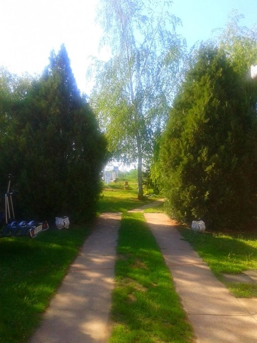 Tisza Kemping - zdjęcie 4