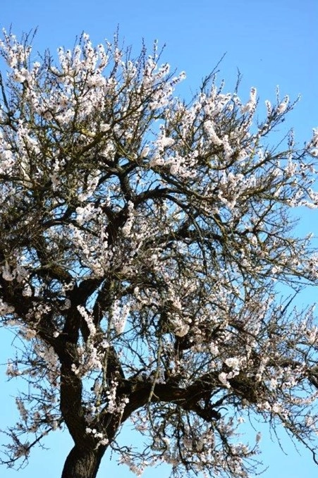 zobacz camping - zdjęcie 32