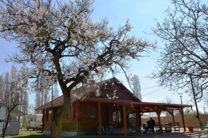 zobacz camping - zdjęcie 24