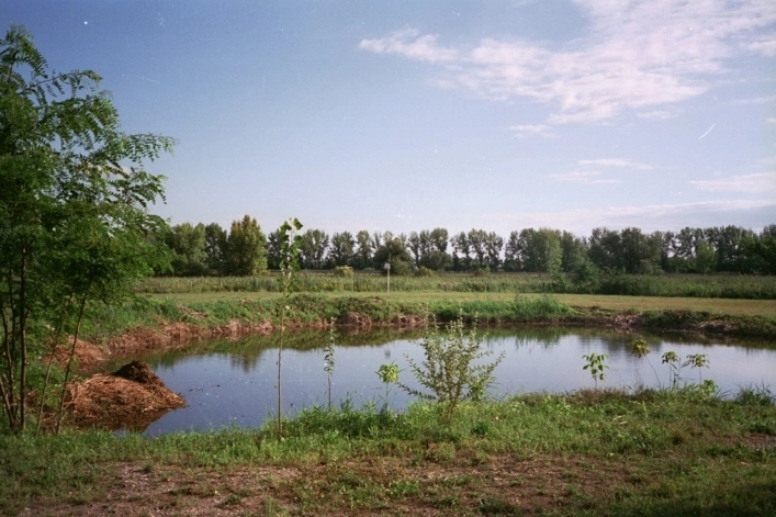 zobacz camping - zdjęcie 16