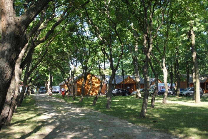 zobacz camping - zdjęcie 9