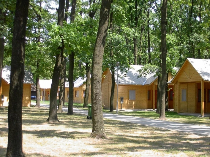zobacz camping - zdjęcie 5