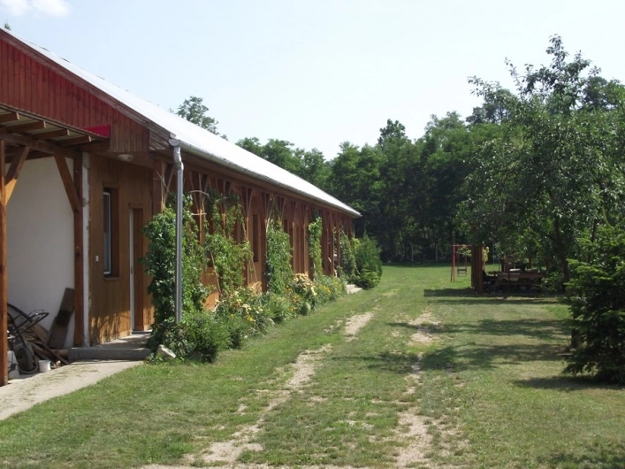 zobacz camping - zdjęcie 3