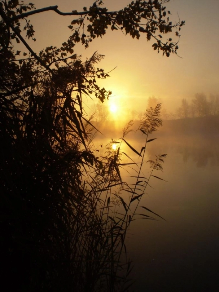 zobacz camping - zdjęcie 8