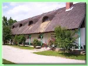 zobacz camping - zdjęcie 3