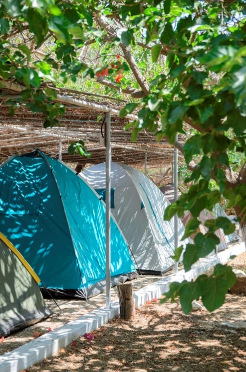 Aegiali Camping - zdjęcie 2