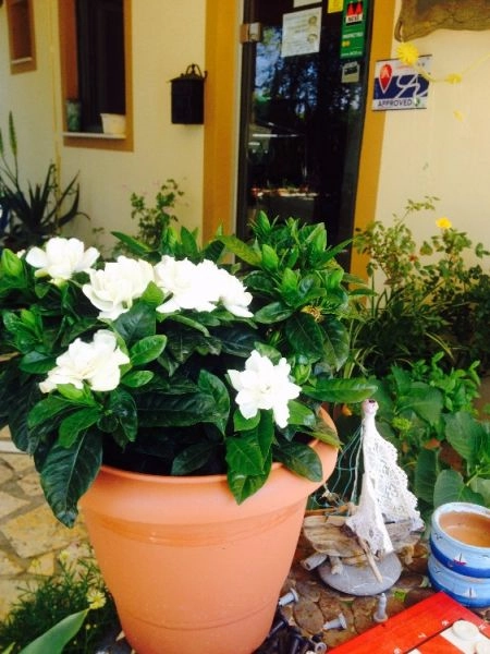 zobacz camping - zdjęcie 21