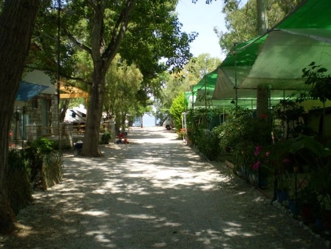 Akrata Beach Camping - zdjęcie 1