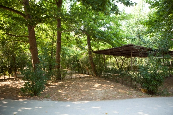 zobacz camping - zdjęcie 7