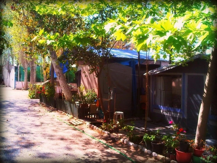 zobacz camping - zdjęcie 16