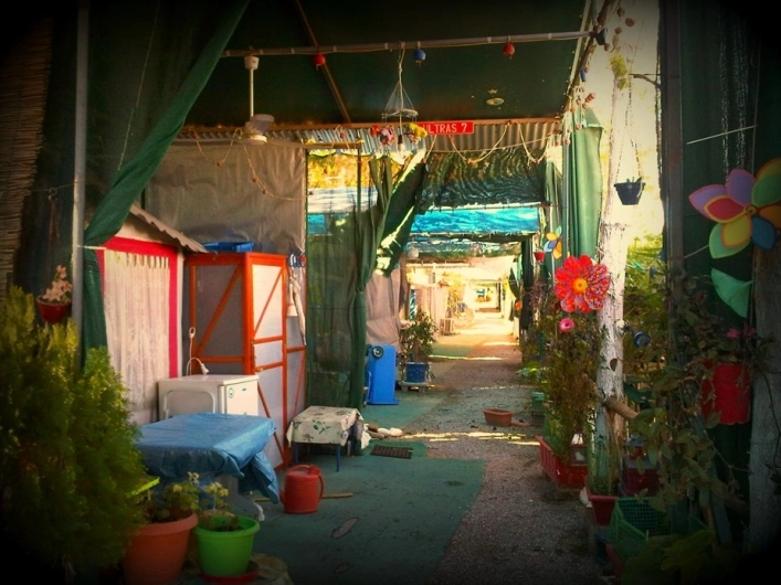 zobacz camping - zdjęcie 9