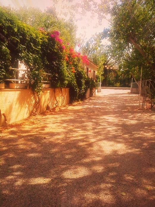 zobacz camping - zdjęcie 6