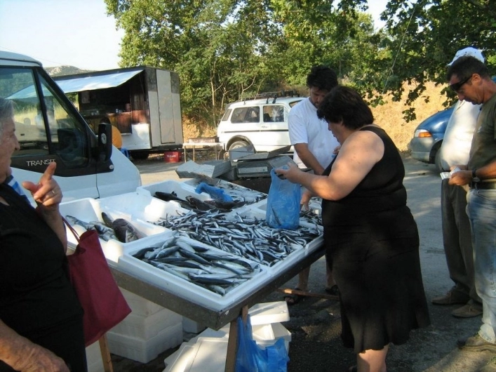 zobacz camping - zdjęcie 16