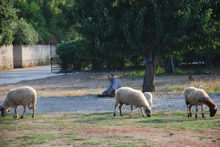 Camping Aegeas - zdjęcie 1