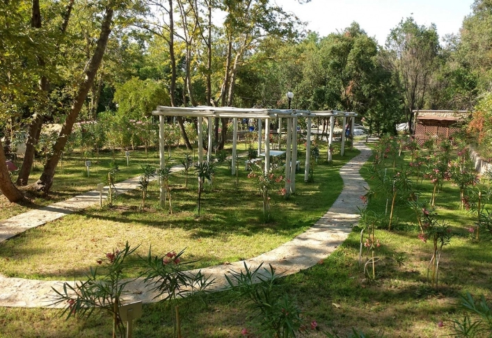 zobacz camping - zdjęcie 20