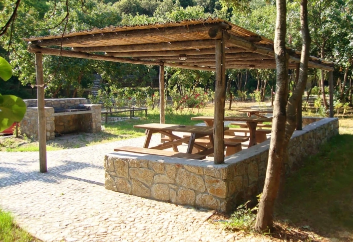 zobacz camping - zdjęcie 8