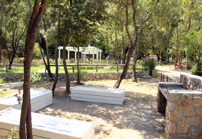 zobacz camping - zdjęcie 6