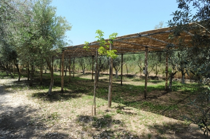 zobacz camping - zdjęcie 11