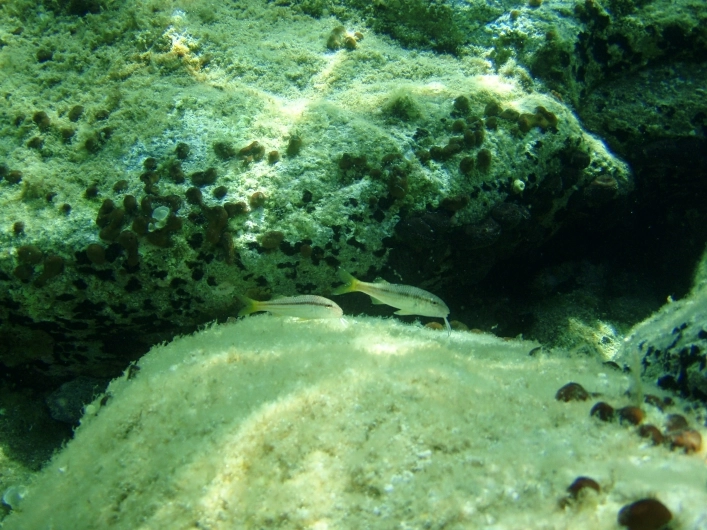 zobacz camping - zdjęcie 7