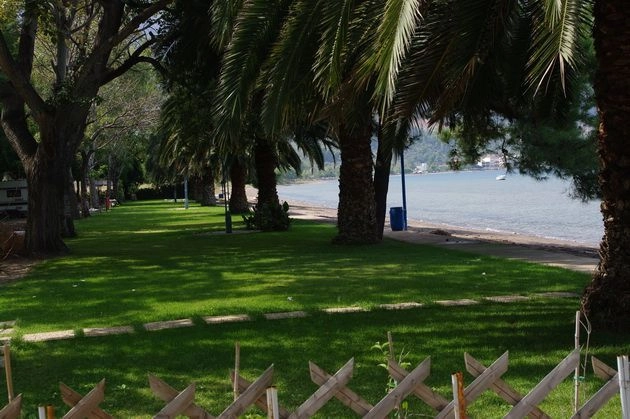 zobacz camping - zdjęcie 16