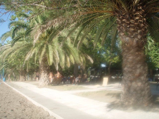 zobacz camping - zdjęcie 12