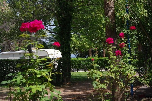 zobacz camping - zdjęcie 8