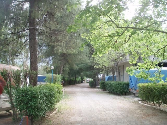 zobacz camping - zdjęcie 7