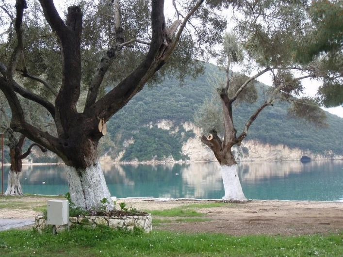 zobacz camping - zdjęcie 14