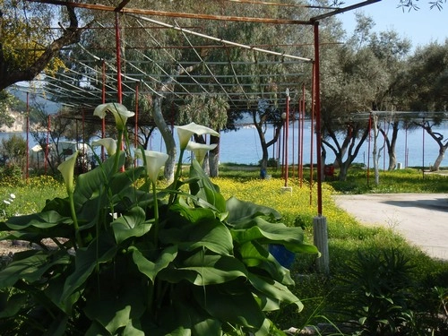 zobacz camping - zdjęcie 12