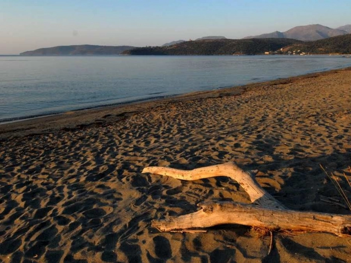 zobacz camping - zdjęcie 21