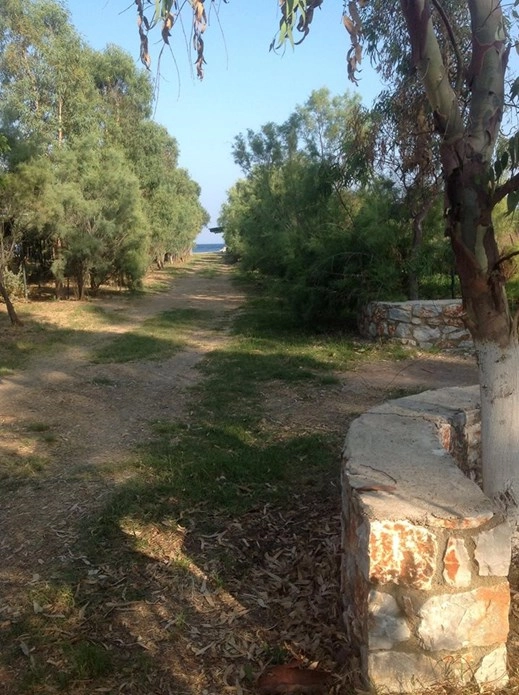 zobacz camping - zdjęcie 17