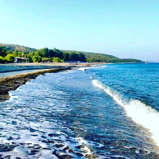 zobacz camping - zdjęcie 15