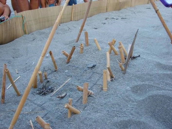 zobacz camping - zdjęcie 7