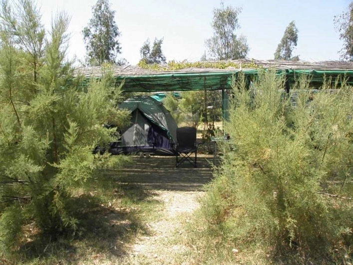 zobacz camping - zdjęcie 3