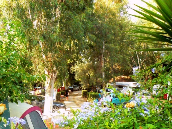 zobacz camping - zdjęcie 18